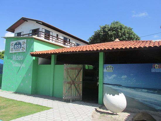 Museu das Tartarugas